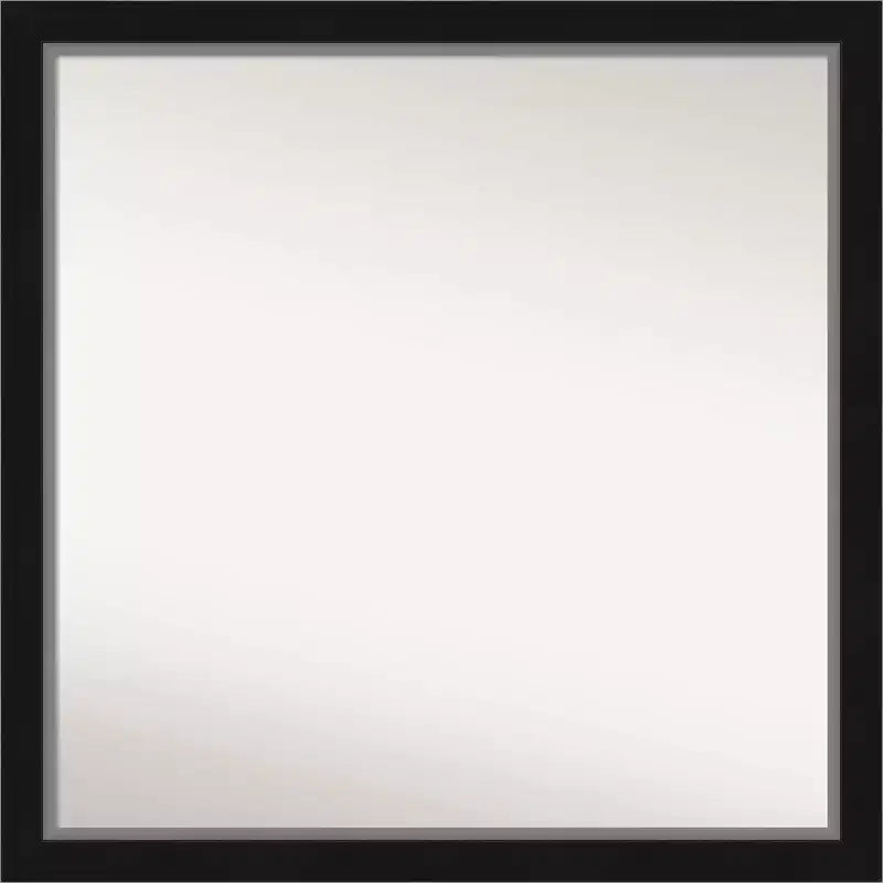 29" x 29" Non-Beveled Eva Black Silver Narrow Wall Mirror - Amanti Art